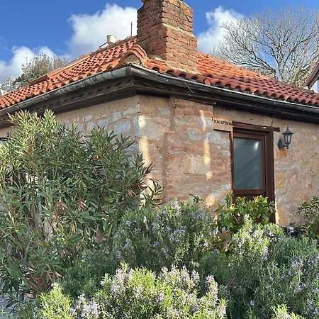 Maison d'hôtes Yediburunlar Lighthouse Boutique And Restaurant 5*