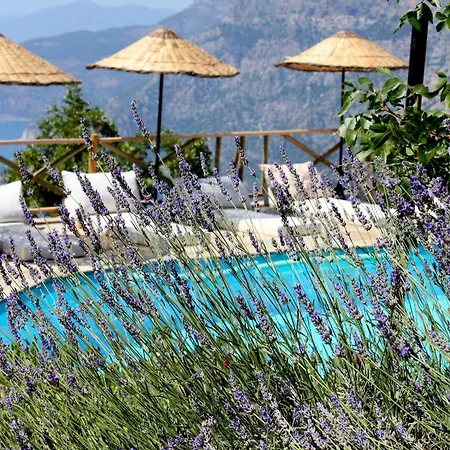 Pensionat Yediburunlar Lighthouse Boutique And Restaurant Faralya